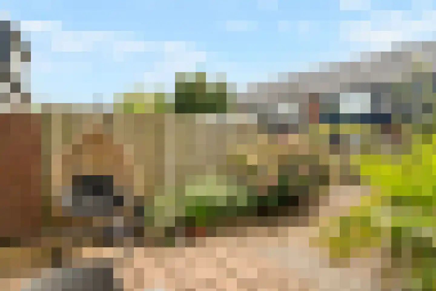 Schippersmeen 139 Harderwijk thumbnail 33
