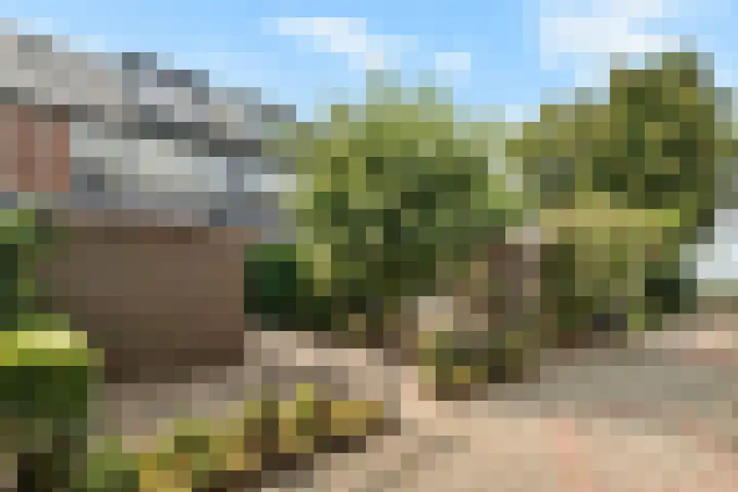 Schippersmeen 139 Harderwijk thumbnail 37