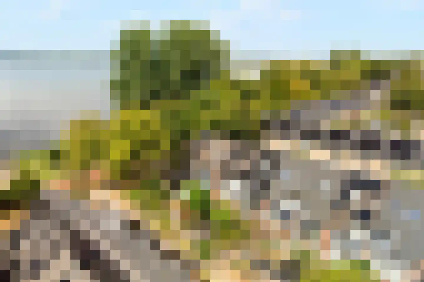 Schippersmeen 139 Harderwijk thumbnail 40