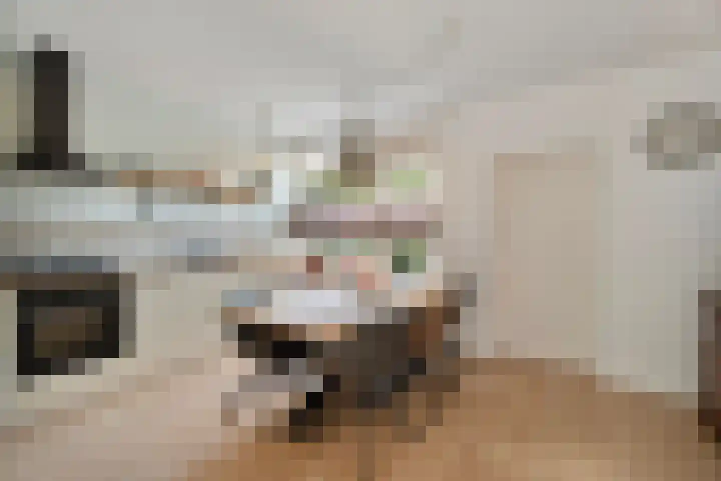 Schippersmeen 139 Harderwijk thumbnail 5