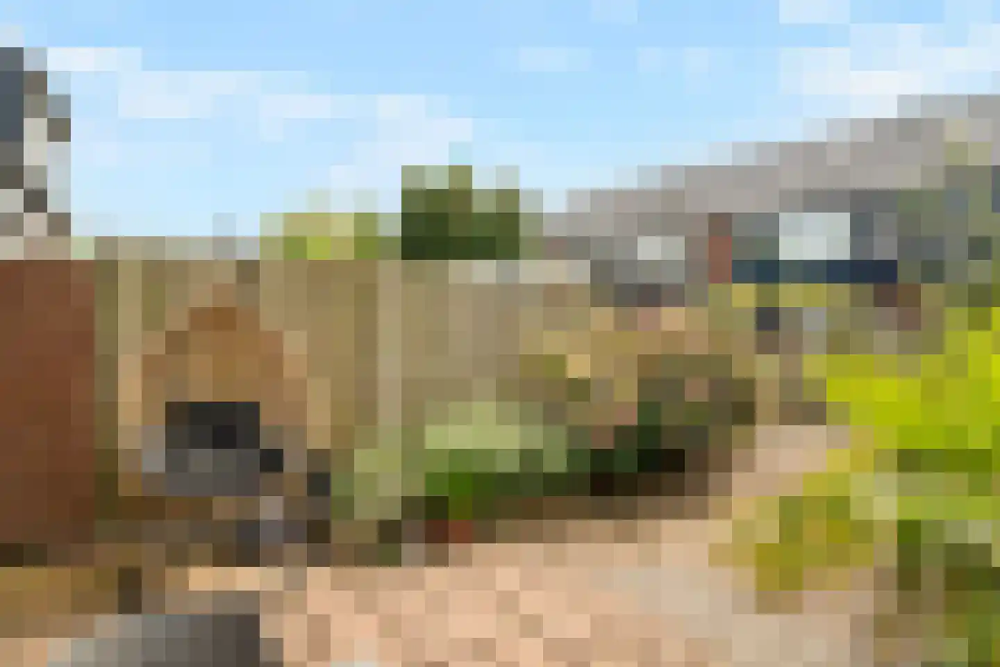 Schippersmeen 139 Harderwijk thumbnail 8