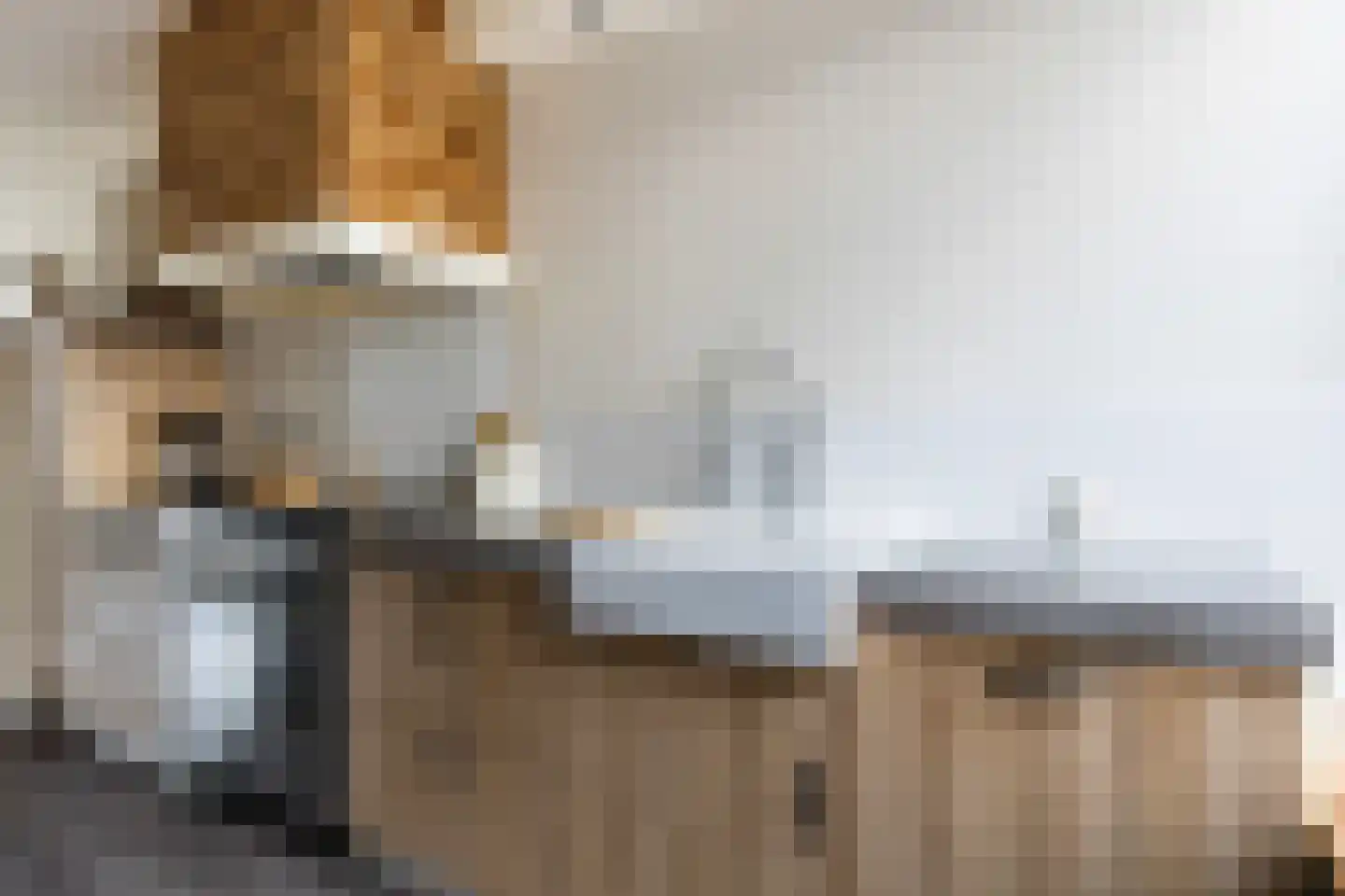 Schippersmeen 15 Harderwijk thumbnail 12