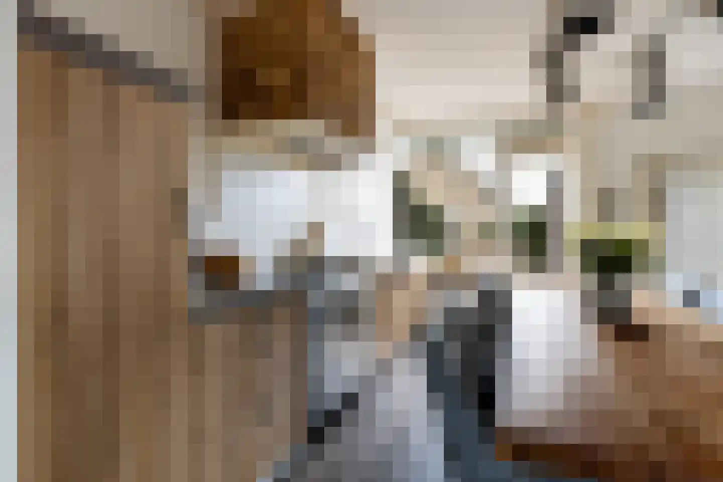 Schippersmeen 15 Harderwijk thumbnail 13