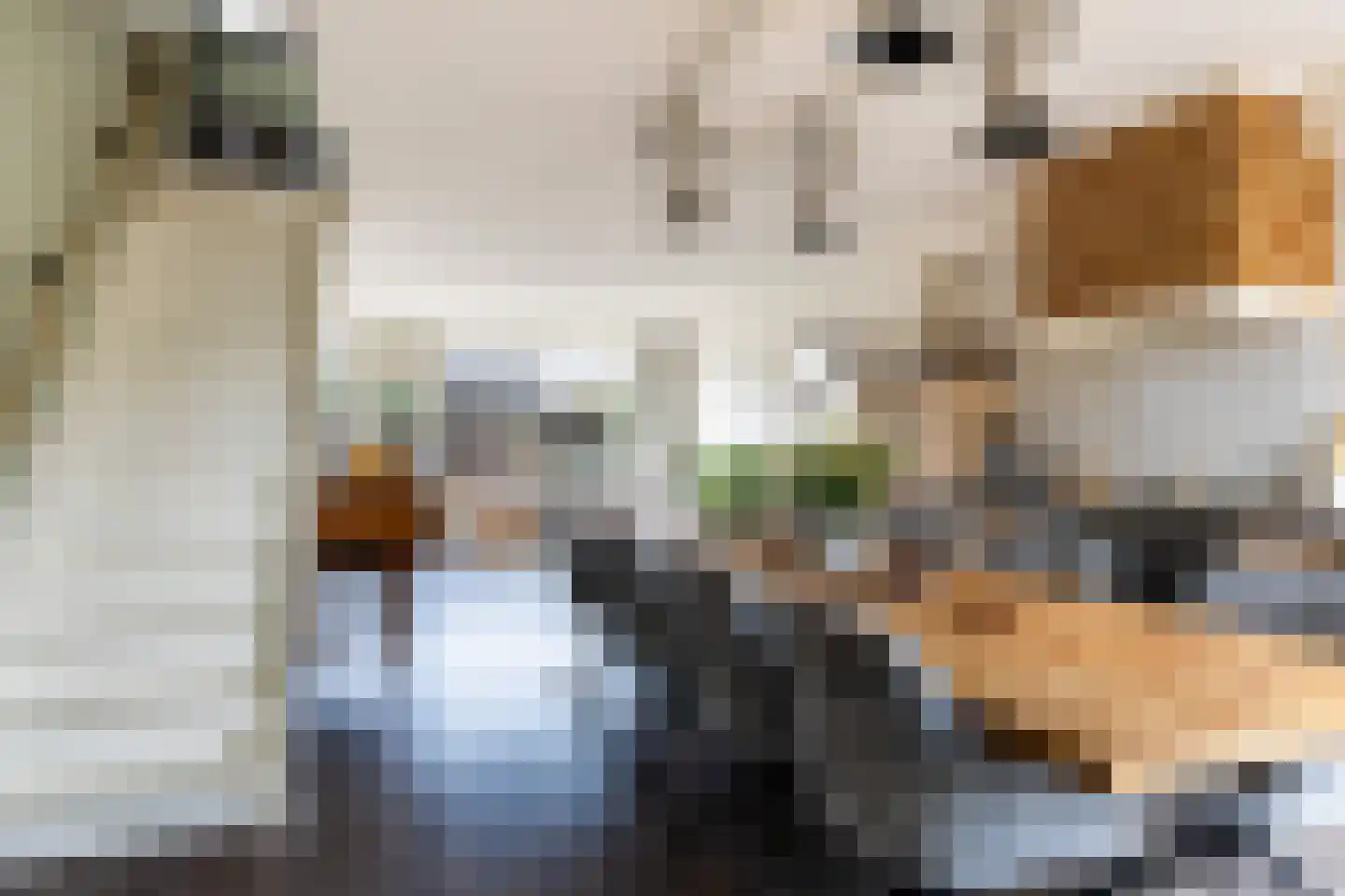 Schippersmeen 15 Harderwijk thumbnail 14