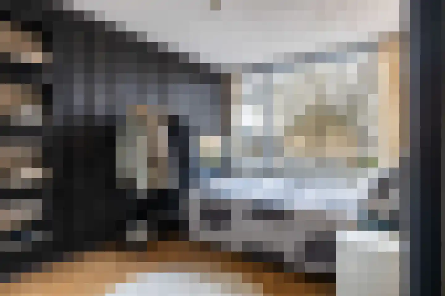 Schippersmeen 15 Harderwijk thumbnail 18