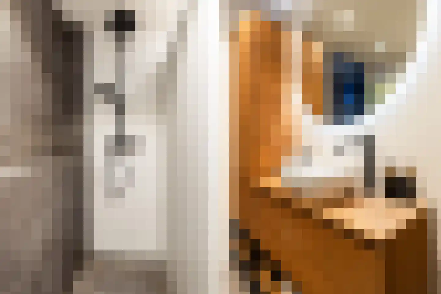 Schippersmeen 15 Harderwijk thumbnail 22