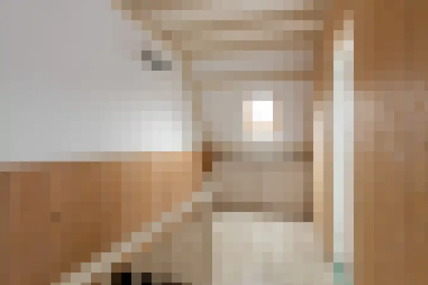 Schippersmeen 15 Harderwijk thumbnail 23