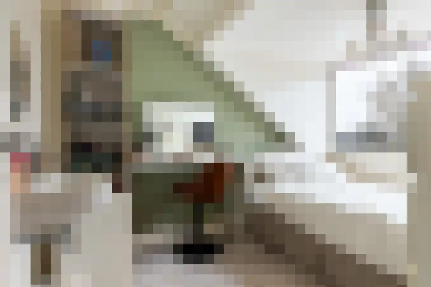 Schippersmeen 15 Harderwijk thumbnail 25