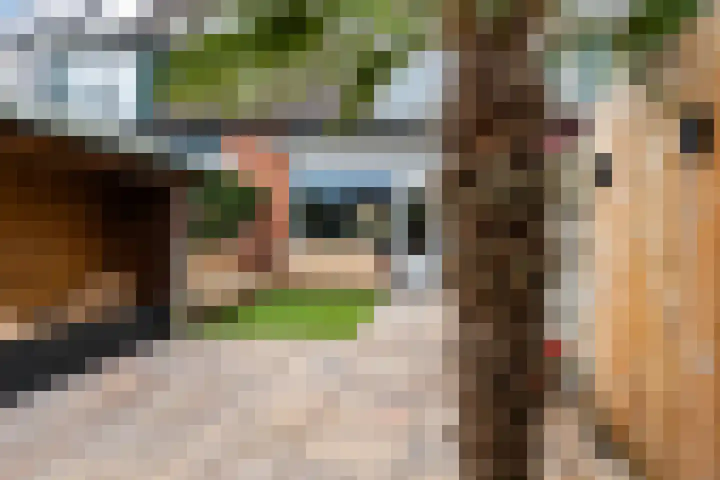 Schippersmeen 15 Harderwijk thumbnail 30