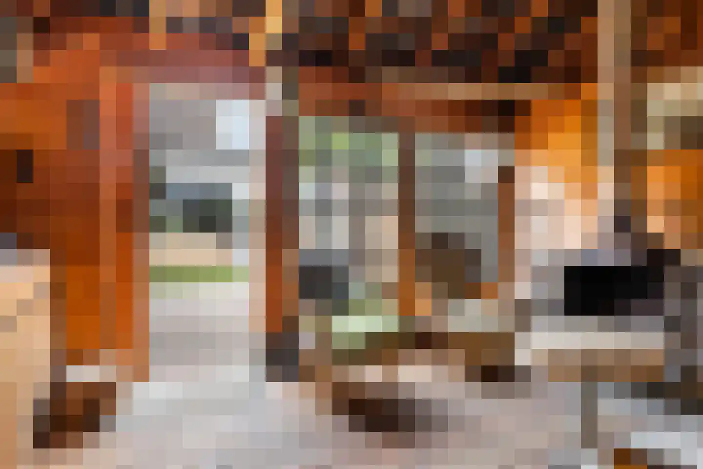 Schippersmeen 15 Harderwijk thumbnail 31