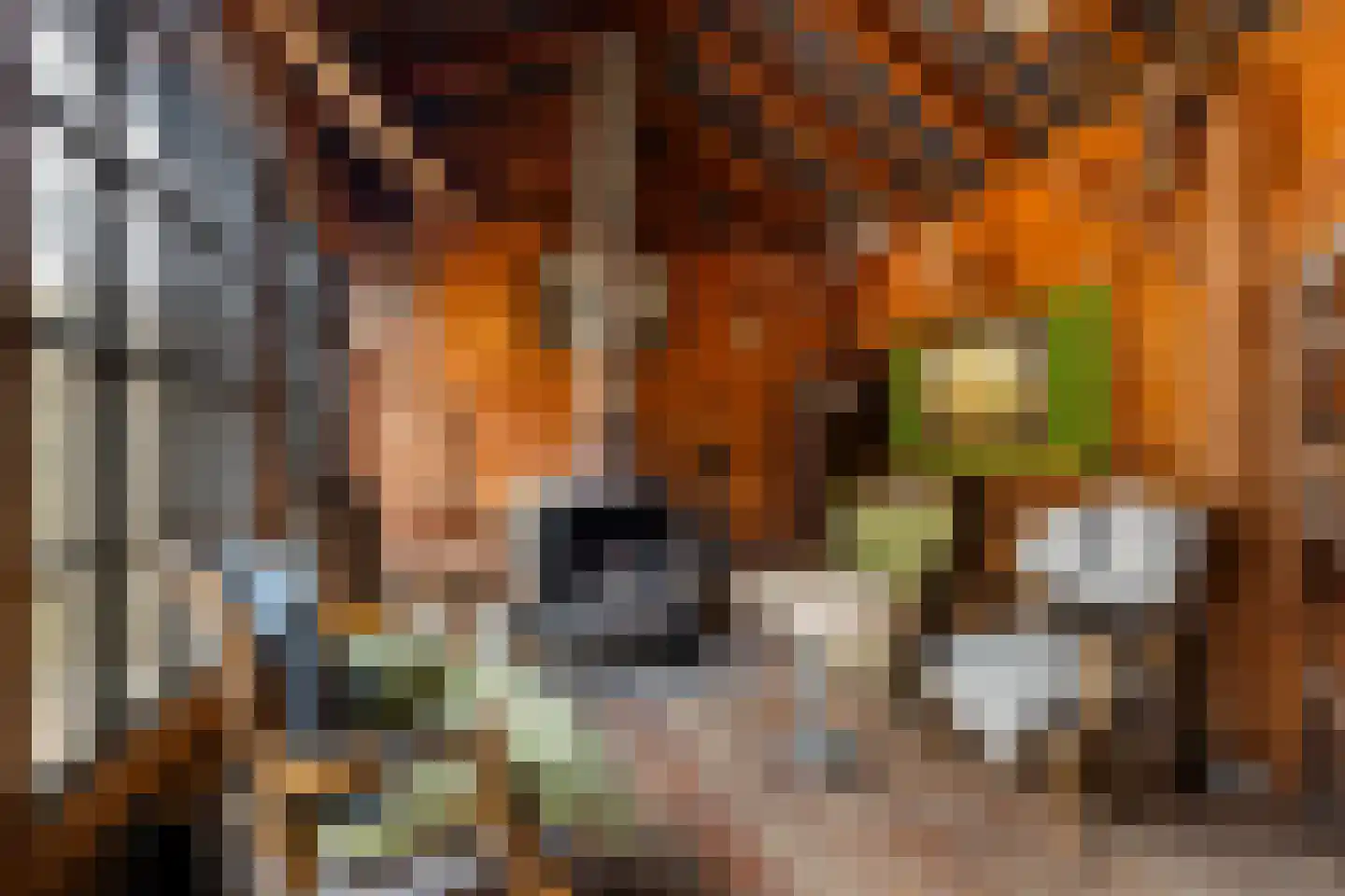 Schippersmeen 15 Harderwijk thumbnail 32