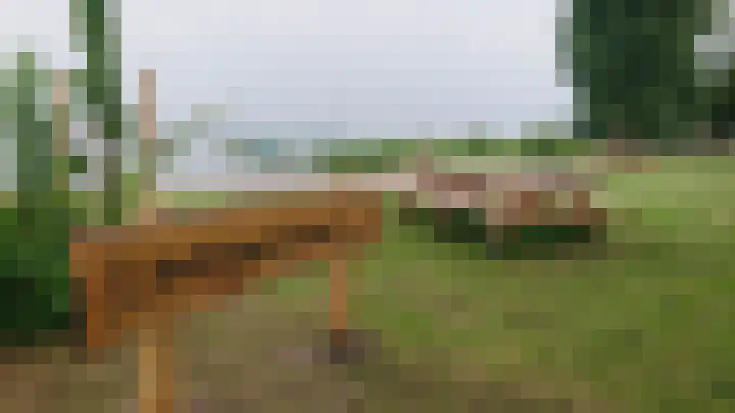 Schippersmeen 15 Harderwijk thumbnail 40