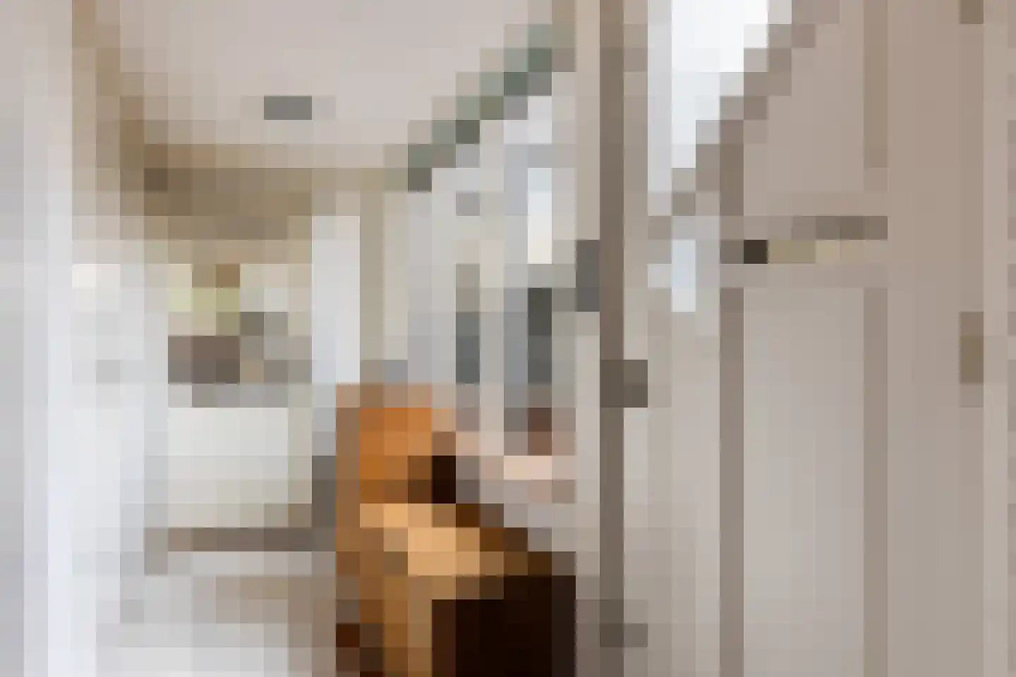 Schippersmeen 15 Harderwijk thumbnail 5