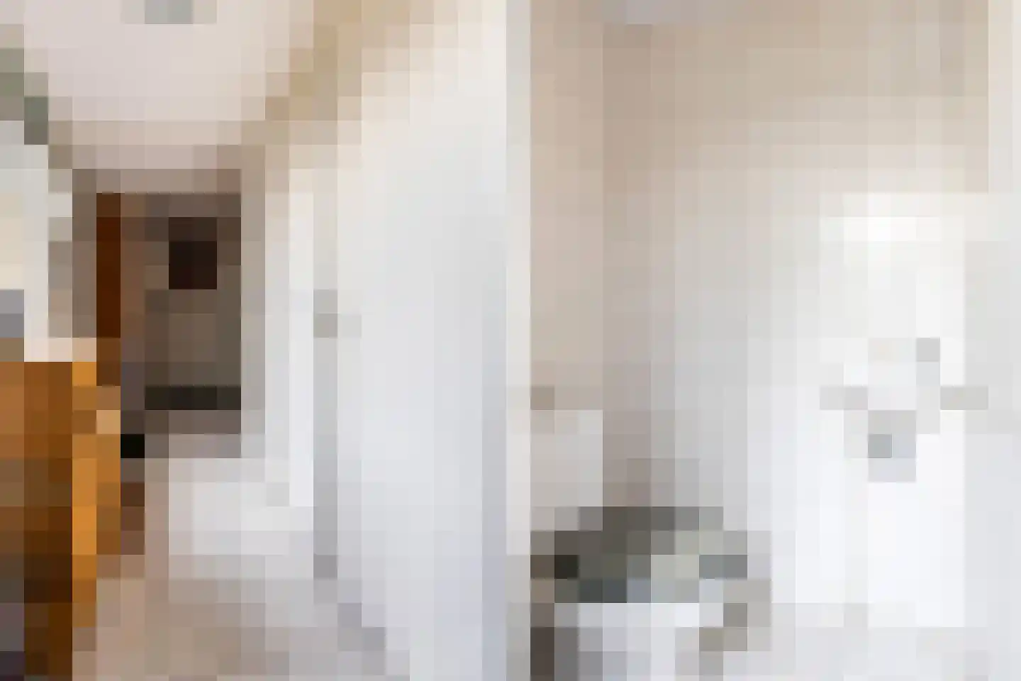 Schippersmeen 15 Harderwijk thumbnail 6