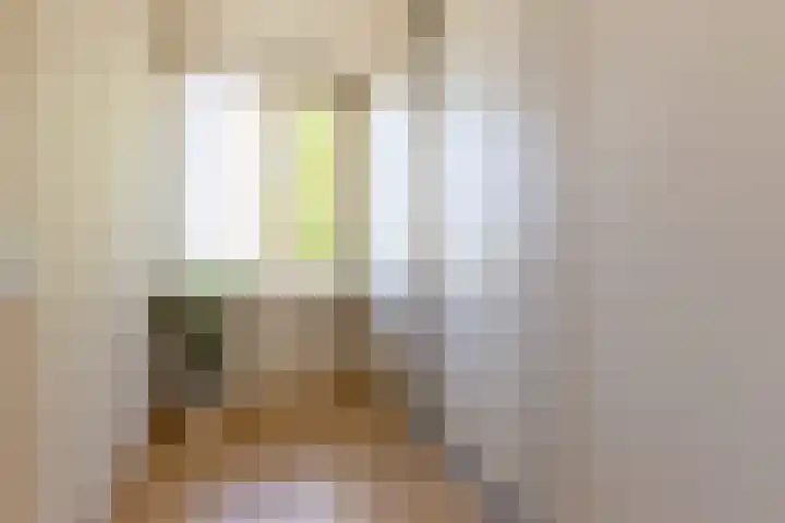 Schippersmeen 19 Harderwijk thumbnail 21