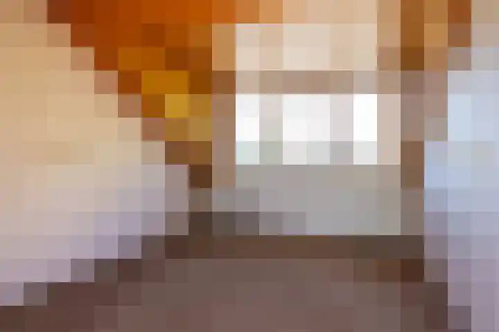 Schippersmeen 19 Harderwijk thumbnail 31