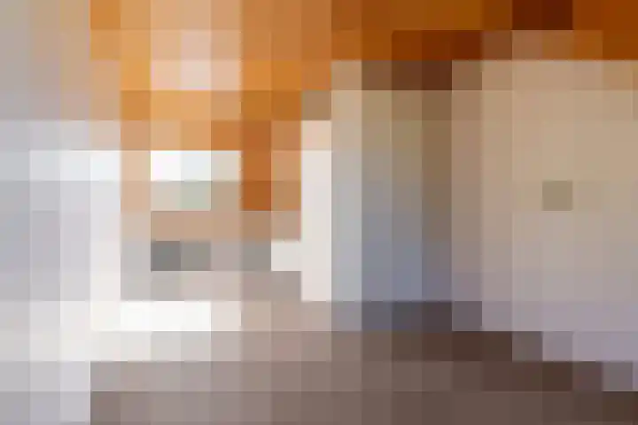 Schippersmeen 19 Harderwijk thumbnail 32