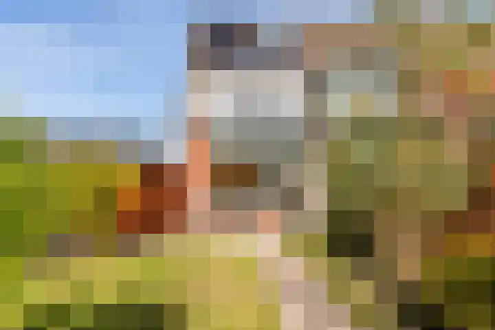 Schippersmeen 19 Harderwijk thumbnail 35
