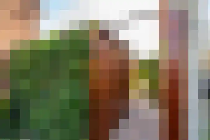 Schippersmeen 19 Harderwijk thumbnail 36