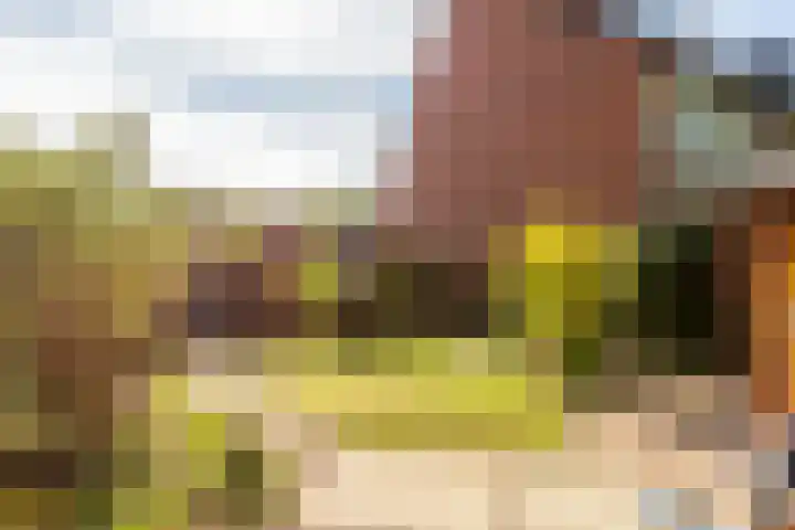 Schippersmeen 19 Harderwijk thumbnail 37