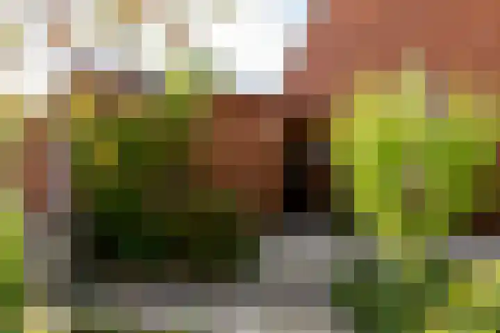 Schippersmeen 19 Harderwijk thumbnail 38