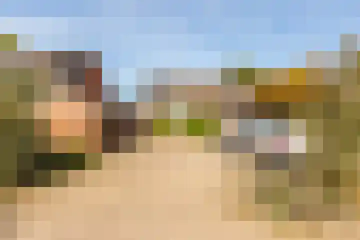 Schippersmeen 19 Harderwijk thumbnail 40