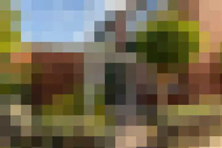 Schippersmeen 19 Harderwijk thumbnail 41