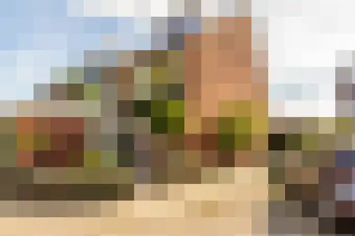 Schippersmeen 19 Harderwijk thumbnail 42