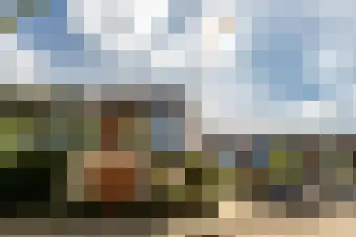 Schippersmeen 19 Harderwijk thumbnail 43