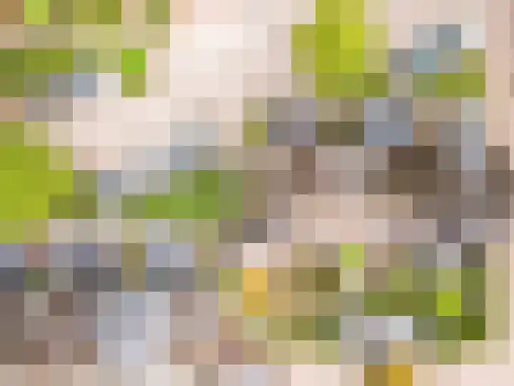 Schippersmeen 19 Harderwijk thumbnail 44