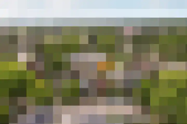 Schippersmeen 19 Harderwijk thumbnail 45