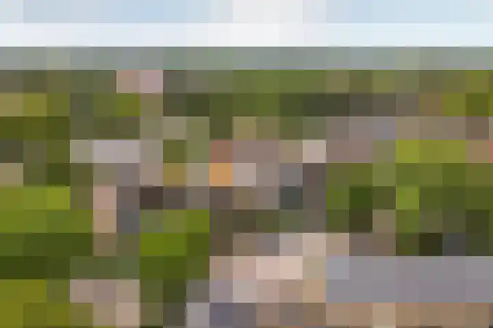 Schippersmeen 19 Harderwijk thumbnail 46