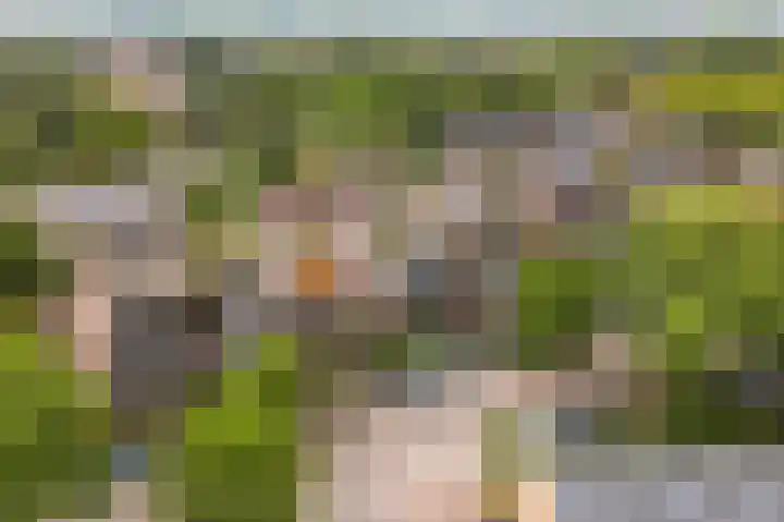 Schippersmeen 19 Harderwijk thumbnail 47