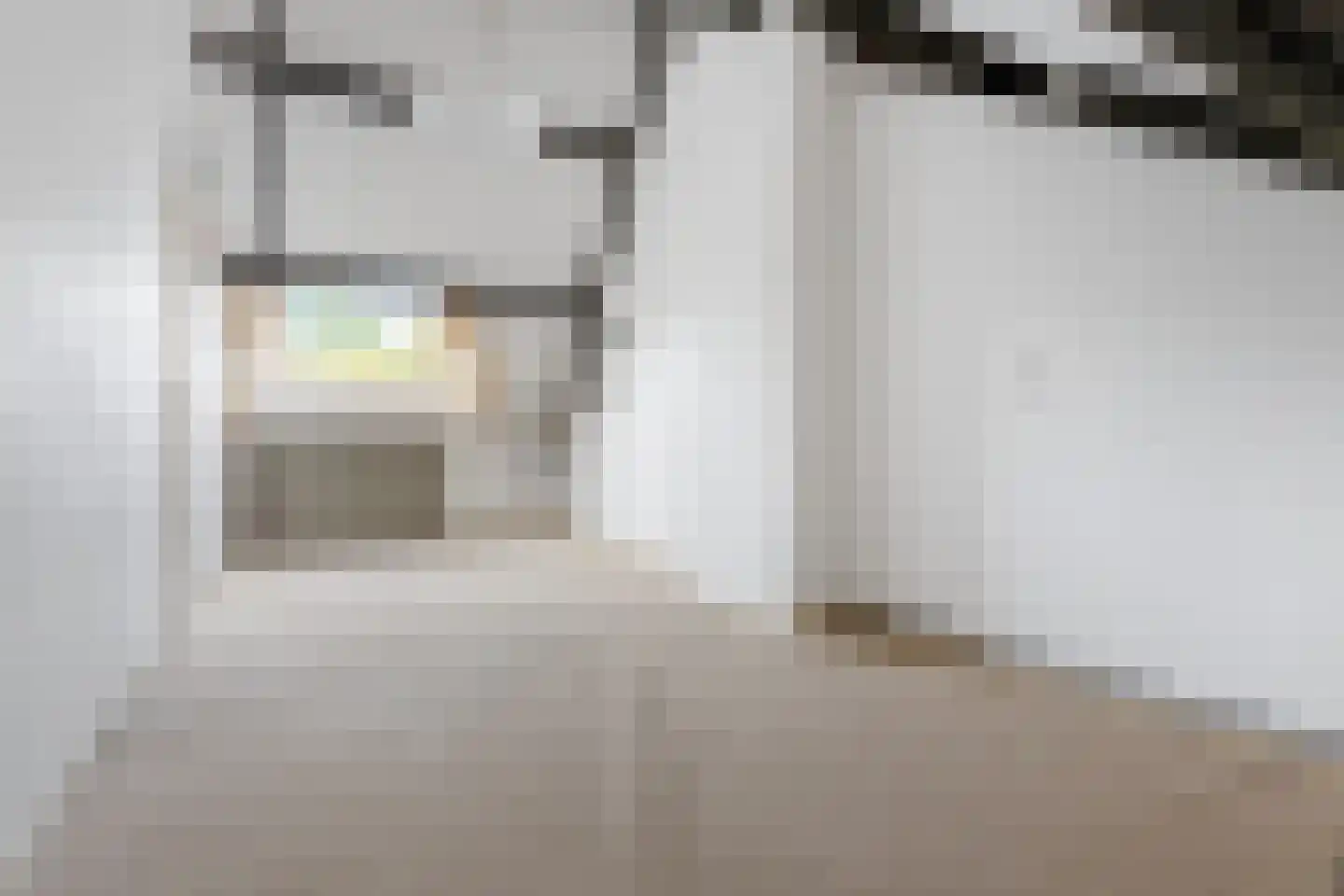 Schippersmeen 87 Harderwijk thumbnail 23