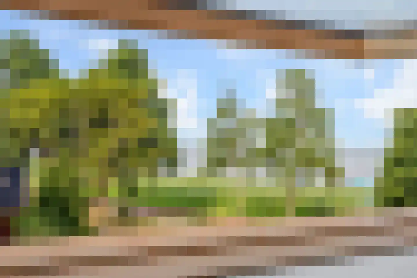Schippersmeen 87 Harderwijk thumbnail 24