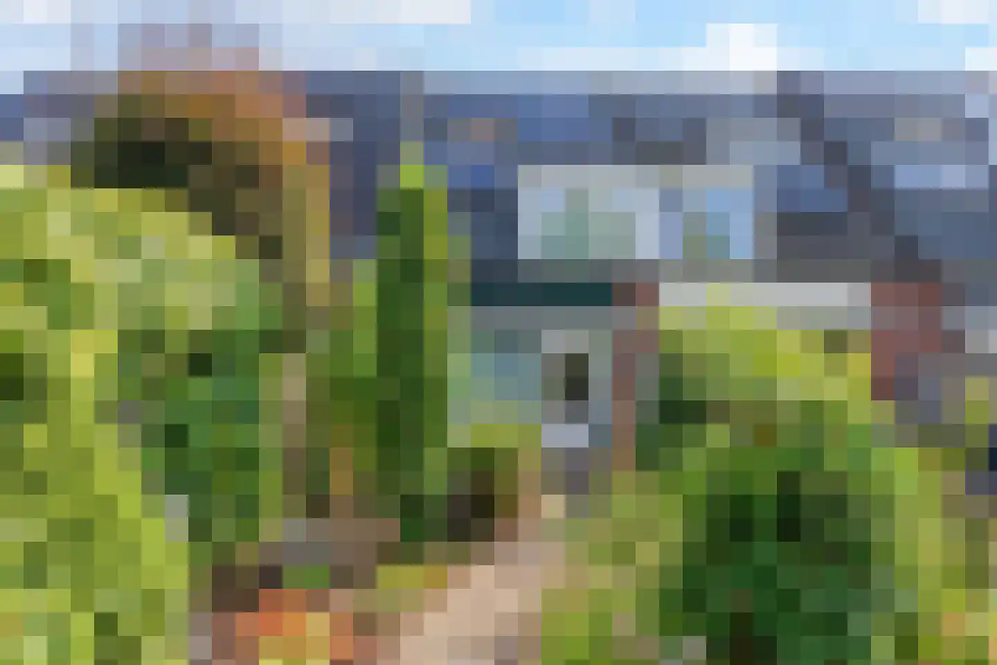 Schippersmeen 87 Harderwijk thumbnail 26