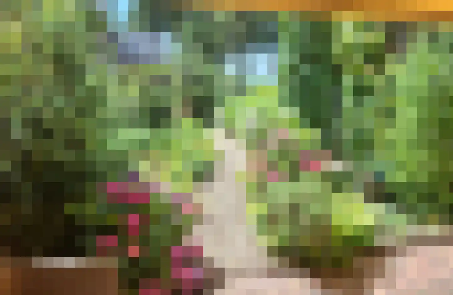 Schippersmeen 87 Harderwijk thumbnail 27