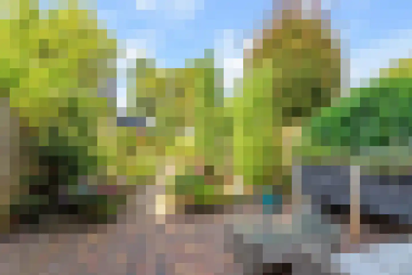 Schippersmeen 87 Harderwijk thumbnail 28