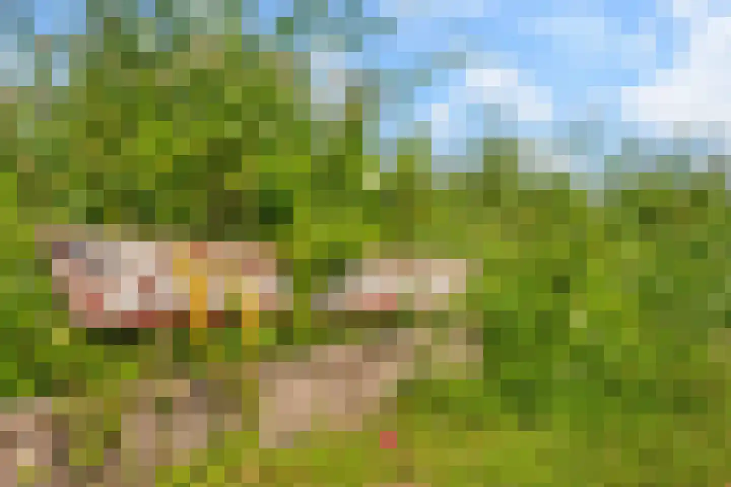 Schippersmeen 87 Harderwijk thumbnail 31