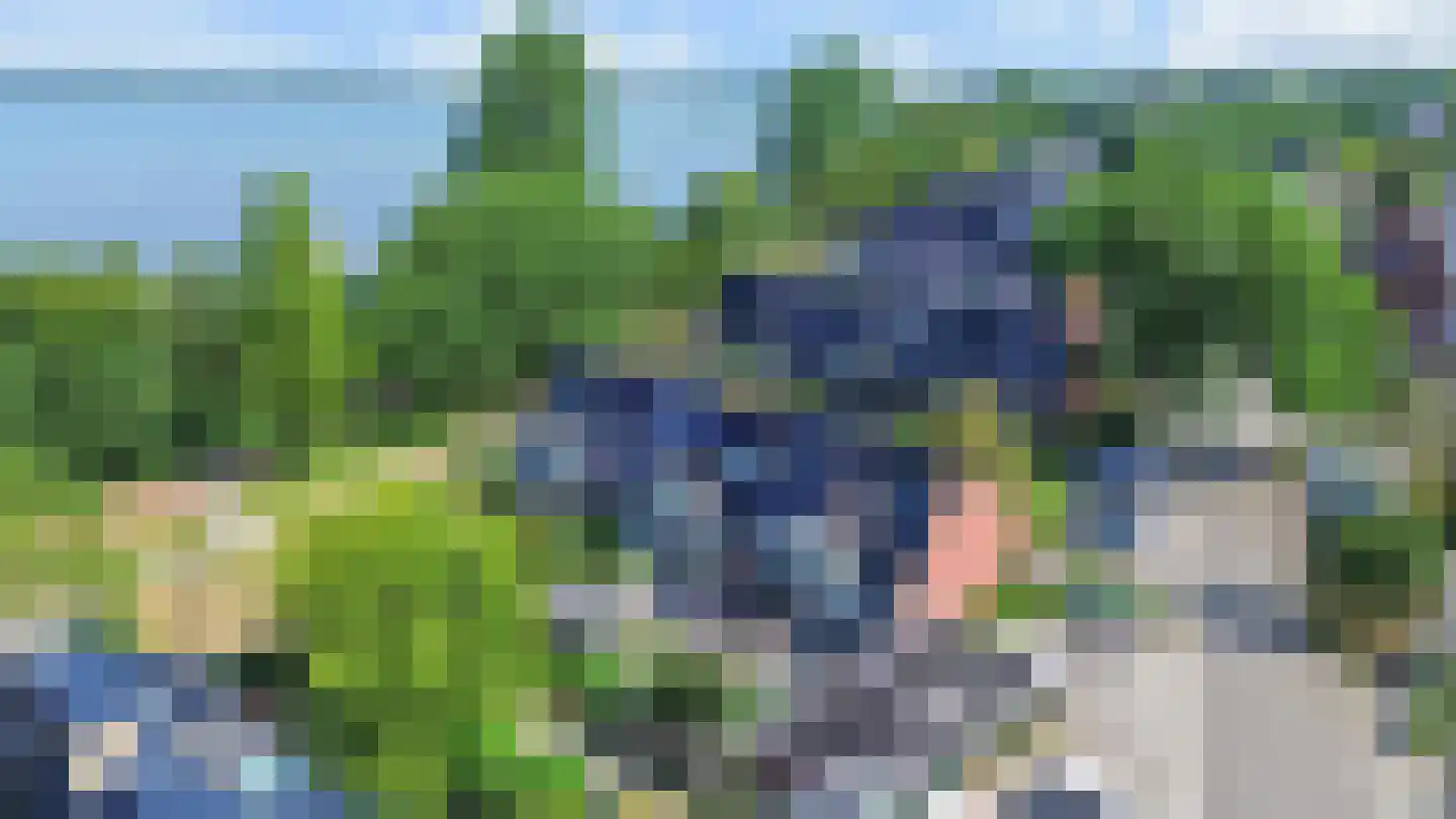 Schippersmeen 87 Harderwijk thumbnail 35