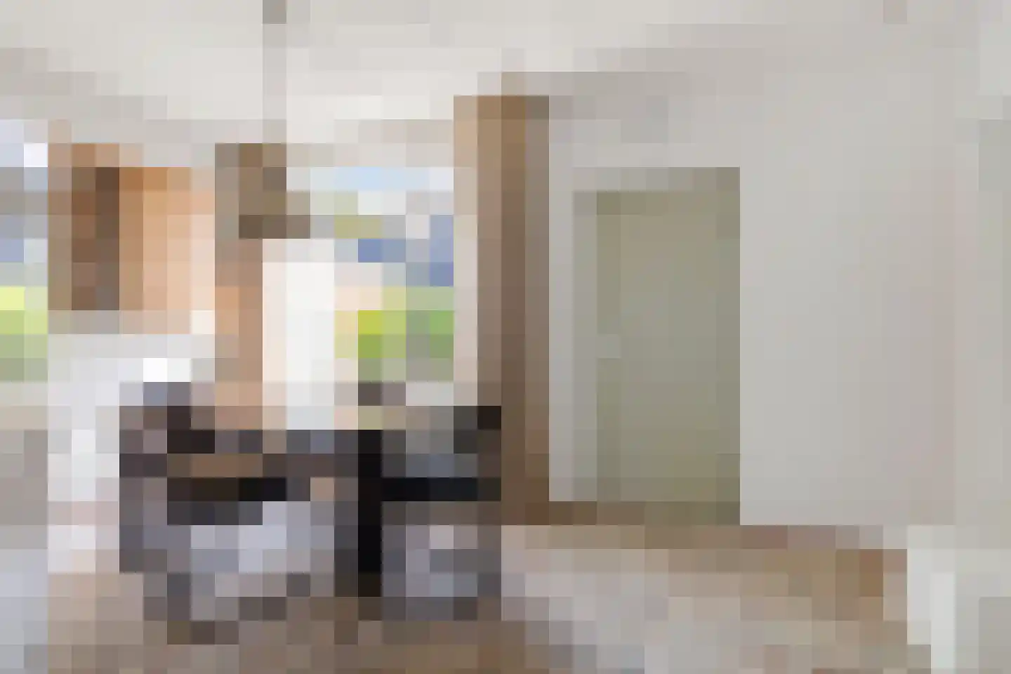 Schippersmeen 87 Harderwijk thumbnail 5