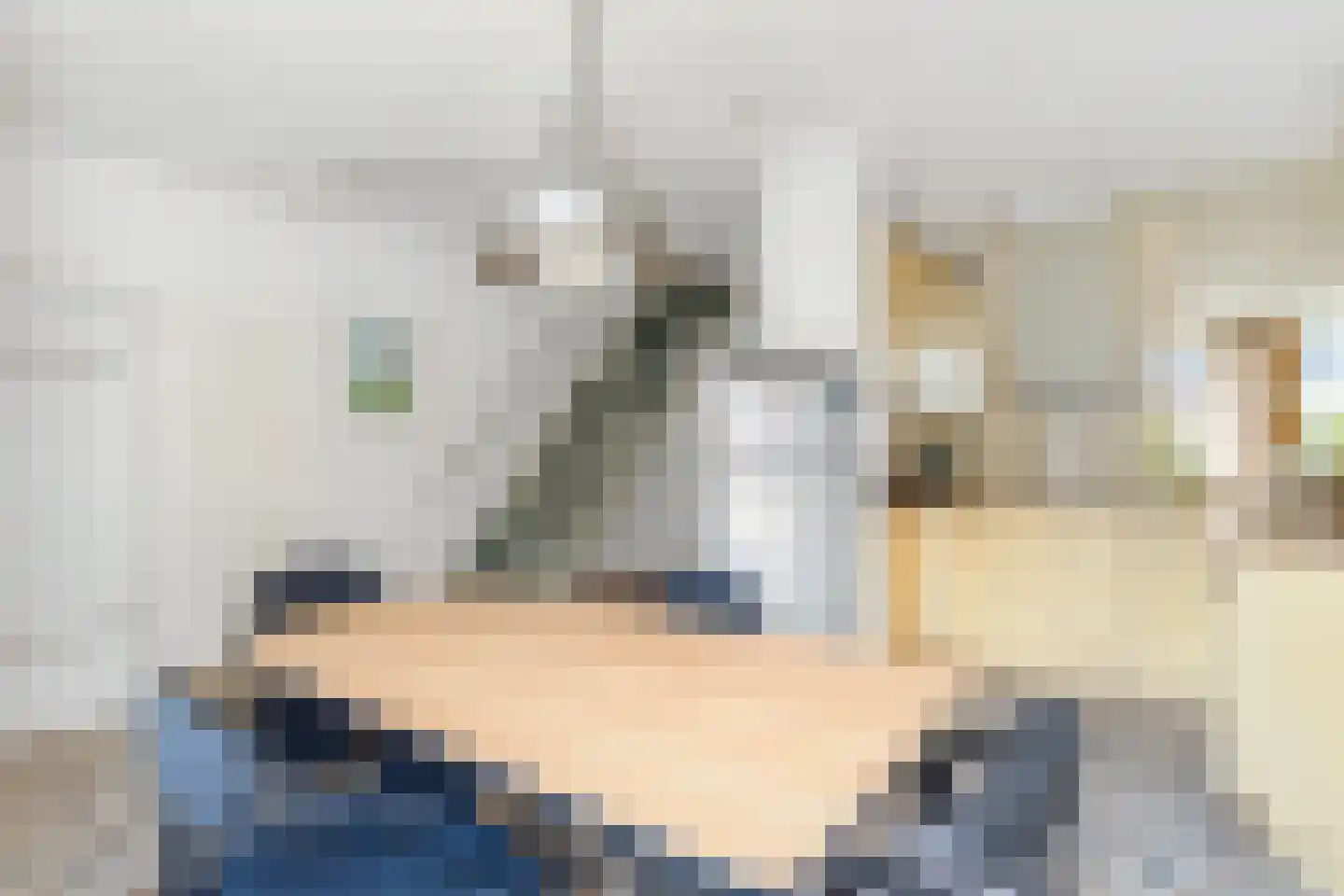 Schippersmeen 87 Harderwijk thumbnail 7