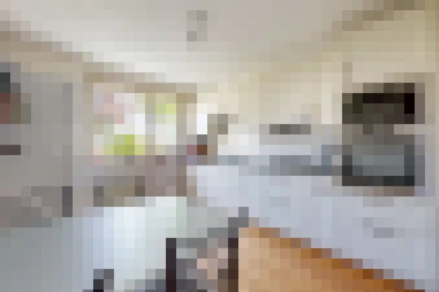 Schippersslagen 22 Breda thumbnail 21