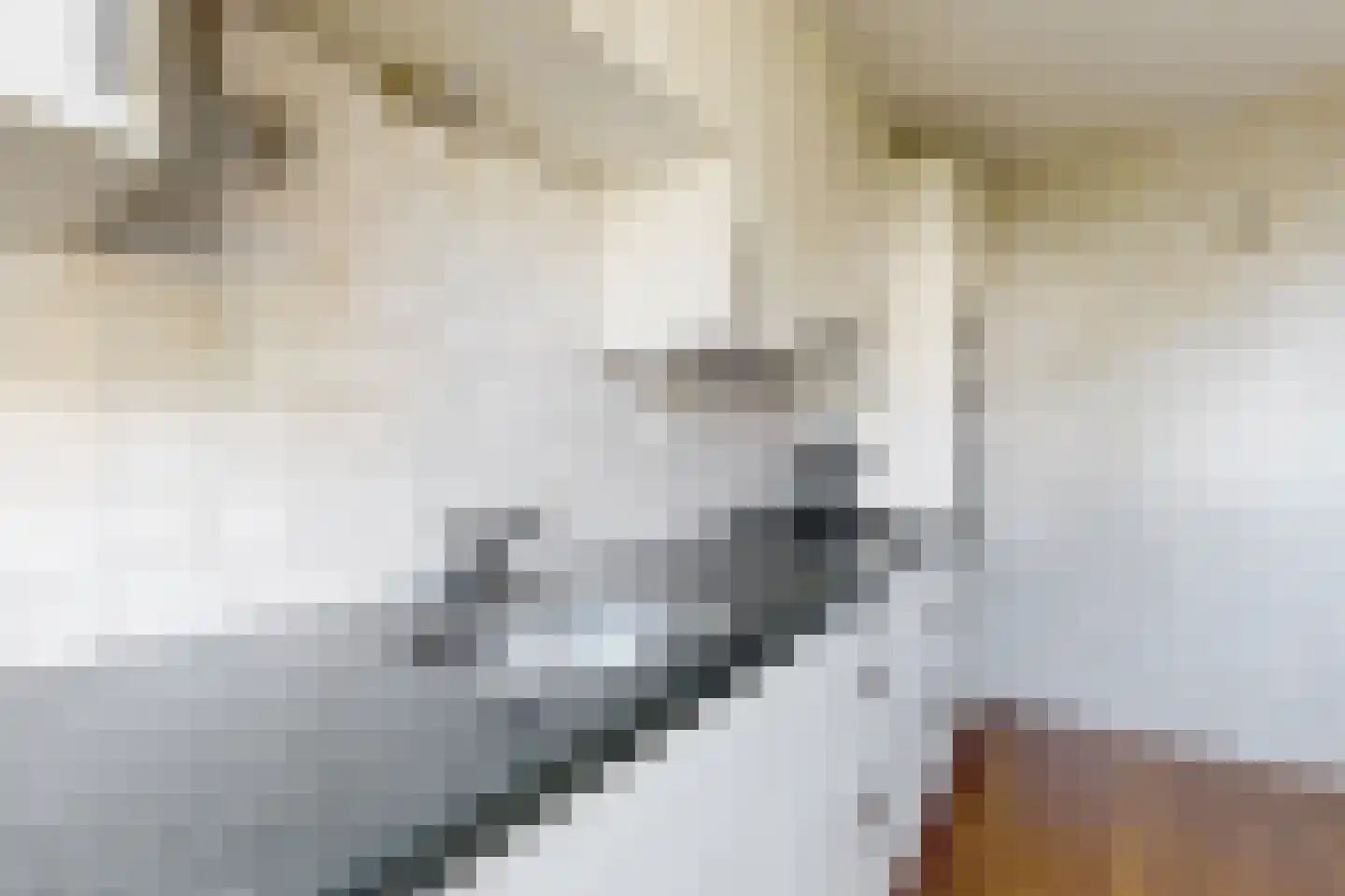 Schippersslagen 22 Breda thumbnail 25