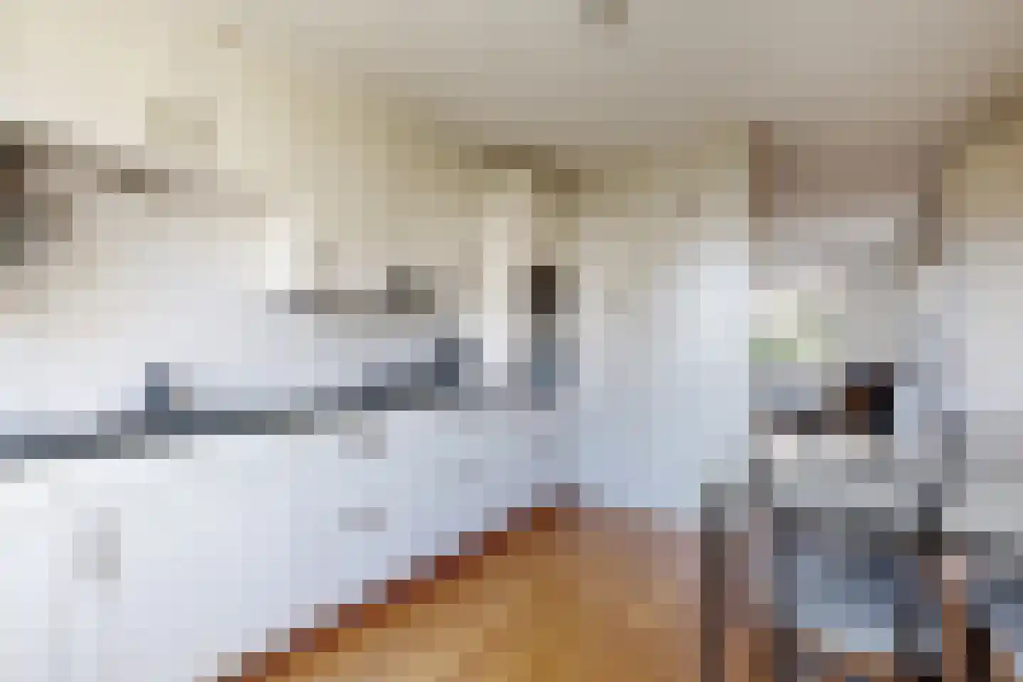 Schippersslagen 22 Breda thumbnail 26