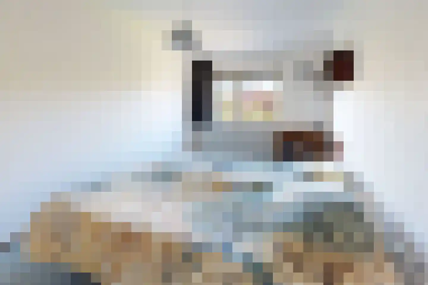 Schippersslagen 22 Breda thumbnail 31