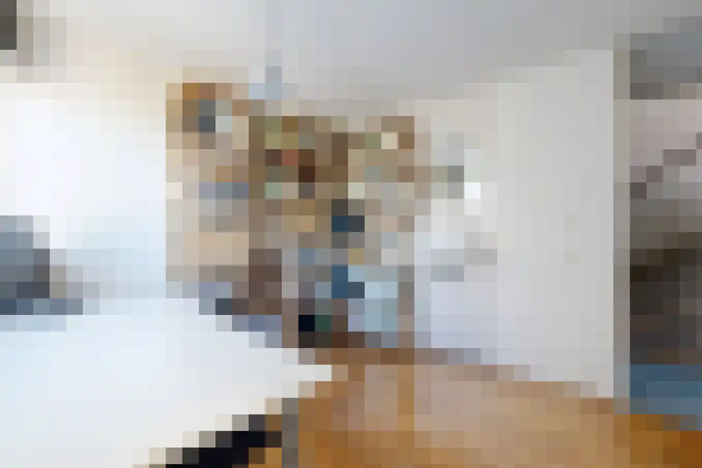 Schippersslagen 22 Breda thumbnail 38