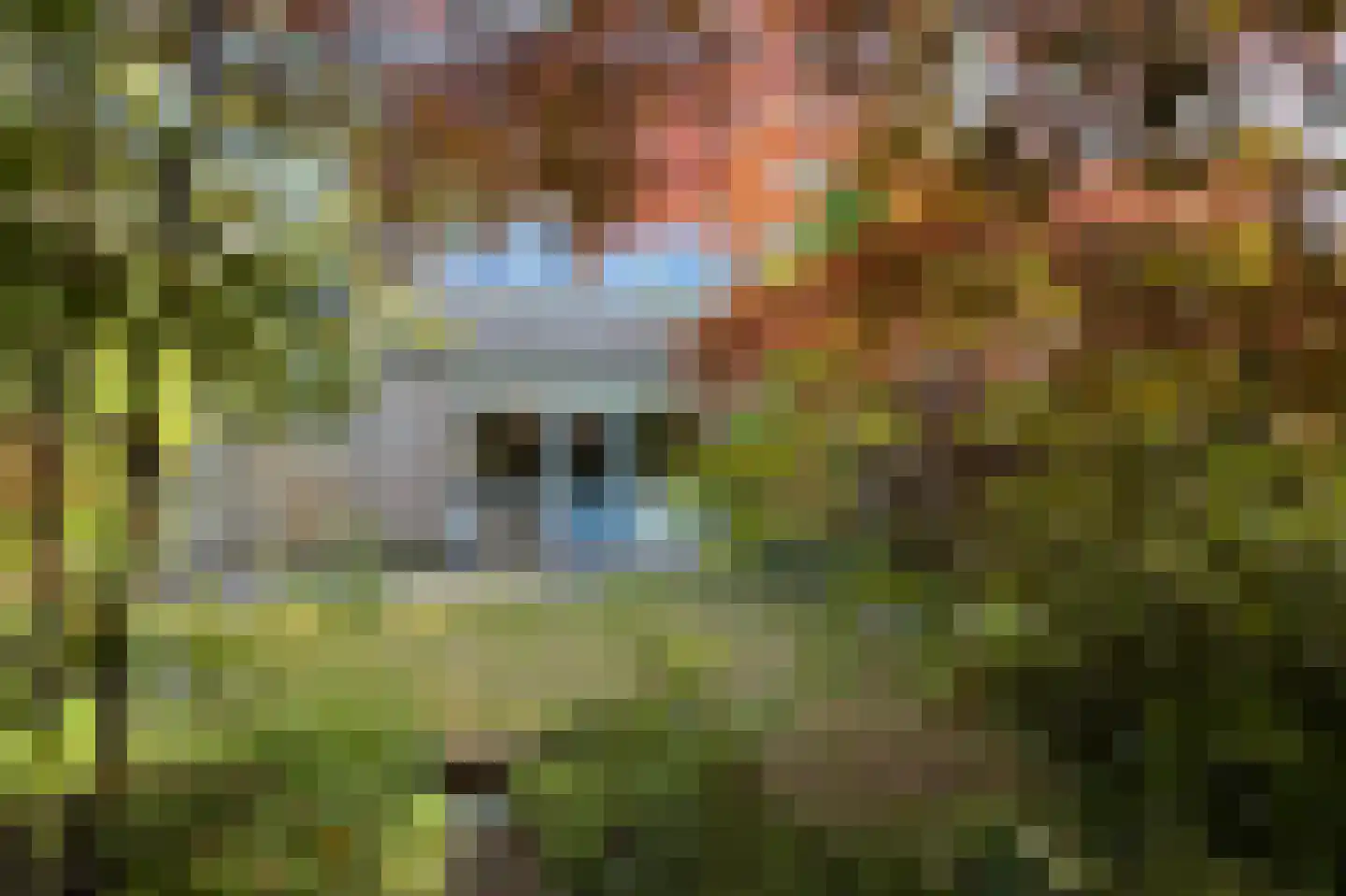 Schippersslagen 22 Breda thumbnail 57