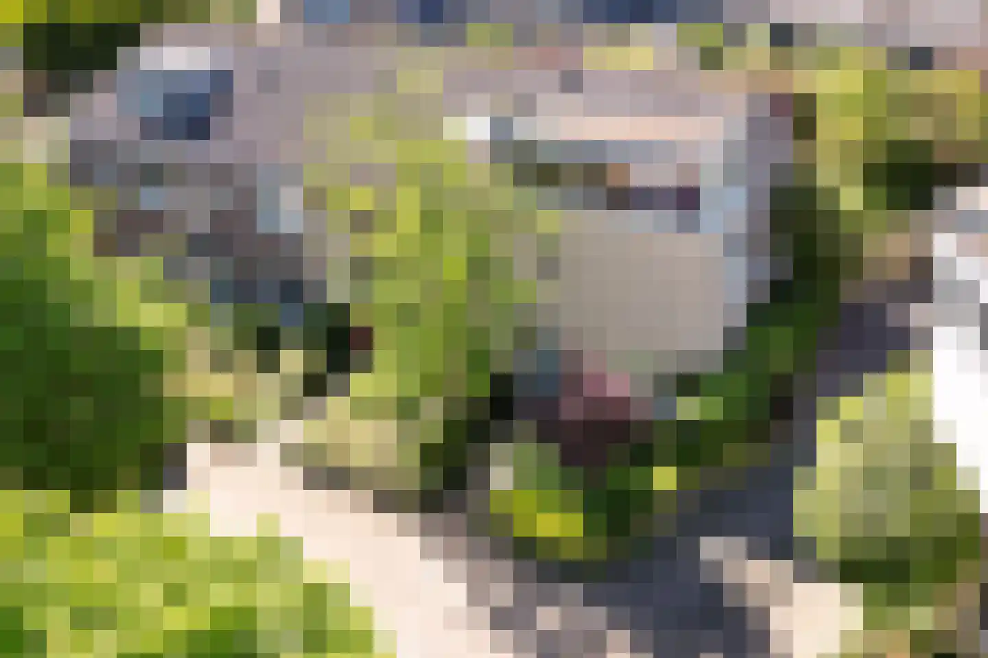 Schippersslagen 22 Breda thumbnail 6
