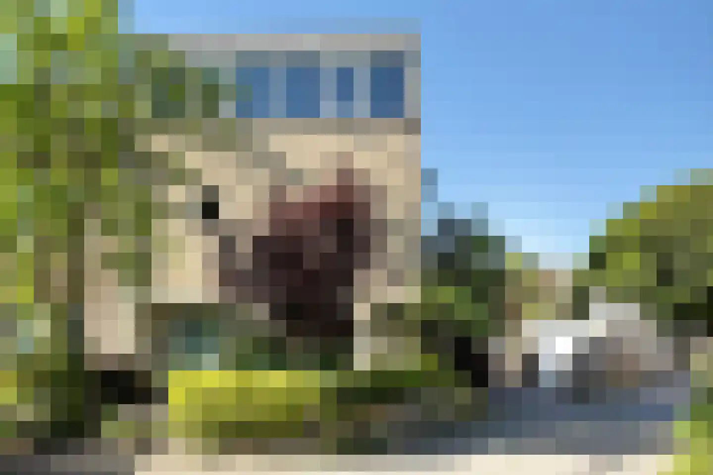 Schippersslagen 22 Breda thumbnail 67